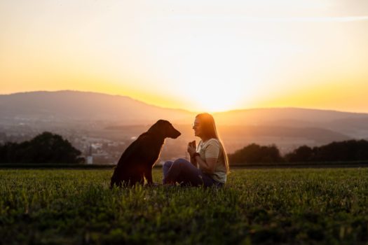 Life Coach bei Sonnenuntergang